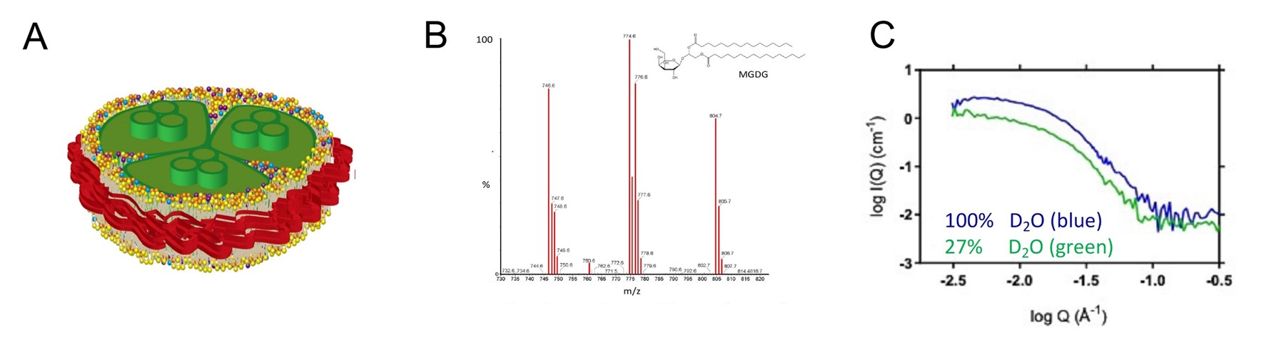 Schematic illustration and analysis of a cyanobacterial photosystem I embedded in a nanodisc