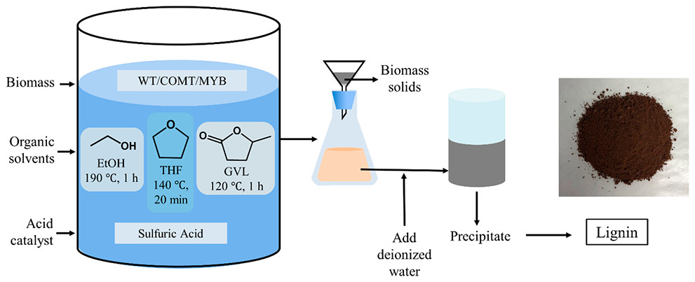 scheme of switchgrass pretreatment