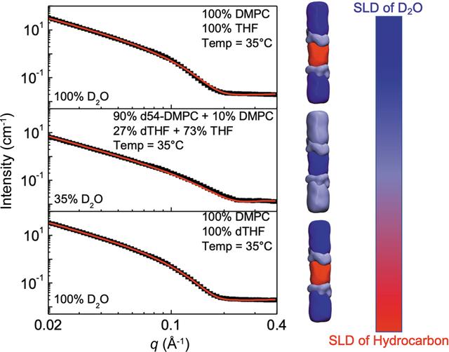 Contrast variation of SANS measurements