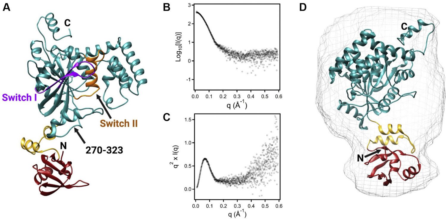 Models of the two constituent proteins of the prokaryotic ferrous iron transport system, FeoAB.