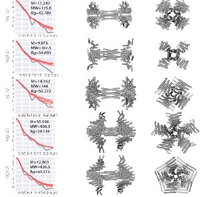 Designed axle-rotor protein complexes.