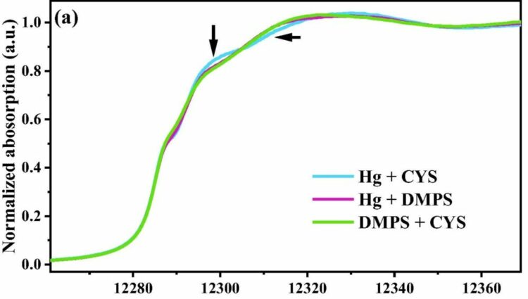 X-ray absorption spectroscopy of mercury species complexed with different thiol compounds.