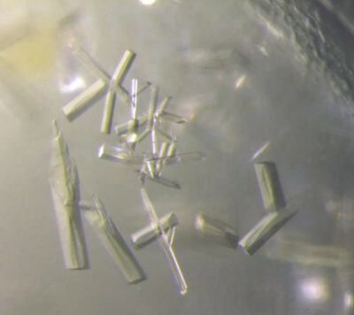 chitosanase crystals