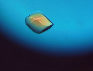Protein Crystal