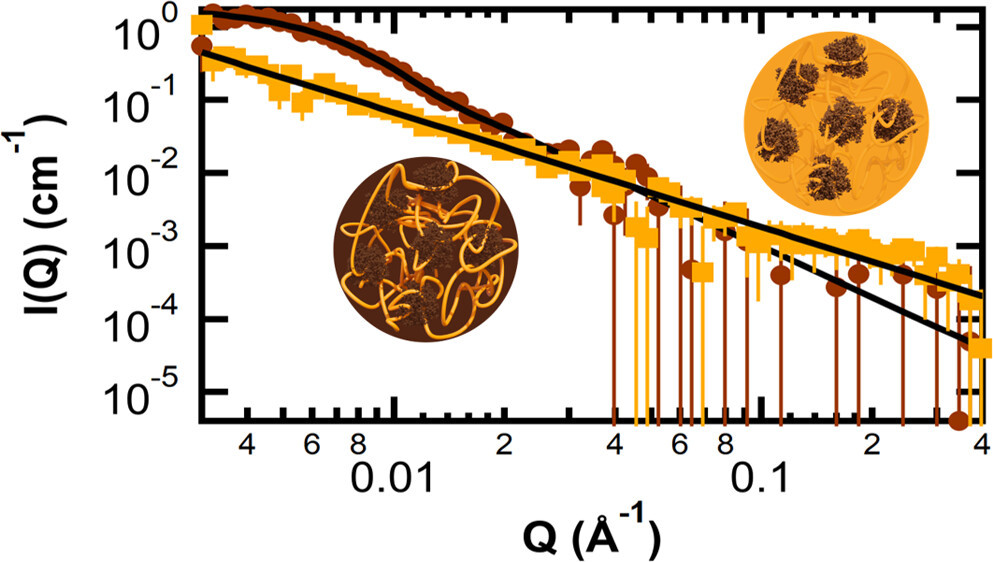 Sans Images Of A Lignin Homogalacturonan Composite